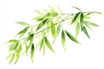 Bamboo Watercolor Illustration: Symbol of Endurance and Longevity in Oriental Style