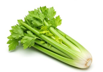 Fresh celery stalk with vibrant green leaves isolated on a clean white background in a studio setting