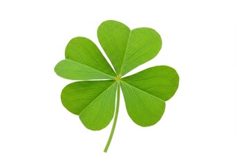 Isolated four leaf clover with vibrant green leaves on a clean white background