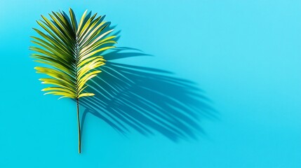 Obraz premium Palm leaf casts a long, dramatic shadow on a vivid blue surface