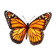 Fototapeta premium Detailed monarch butterfly with wings spread, cut out transparent