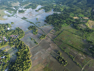 Aerial View of Settlements and Rice Fields in Aceh, Sumatra