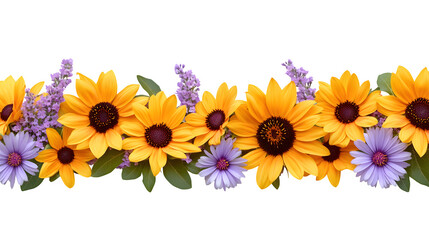 Photorealistic render of a floral border made with vibrant yellow sunflowers and contrasting purple Aster flowers, dynamic color combination, isolated on Transparent Background © DreamGen Works