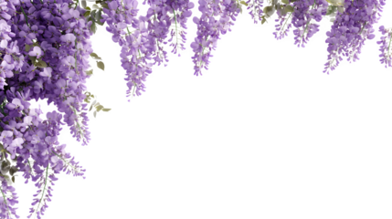 Photorealistic render of a left-side vertical floral border made of cascading Wisteria blooms (purple), elegant and flowing design, isolated on Transparent Background