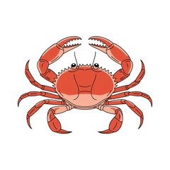 Illustration of a red crab with claws raised on a black background simple detailed drawing art
