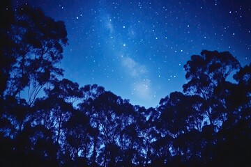 Starry Night Forest Silhouette