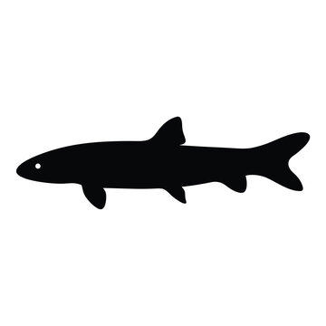 kuhli loach fish vector silhouette icon, black and white illustration of fish.