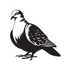 Graceful Eurasian Collared Dove Bird Vector Silhouette – Elegant Flight, Peaceful Perch, and Timeless Symbol of Tranquility in Minimalist Art - Illustration of Collared Dove Bird.