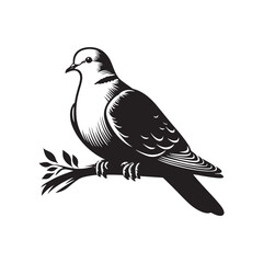 Graceful Eurasian Collared Dove Bird Vector Silhouette – Elegant Flight, Peaceful Perch, and Timeless Symbol of Tranquility in Minimalist Art - Illustration of Collared Dove Bird.