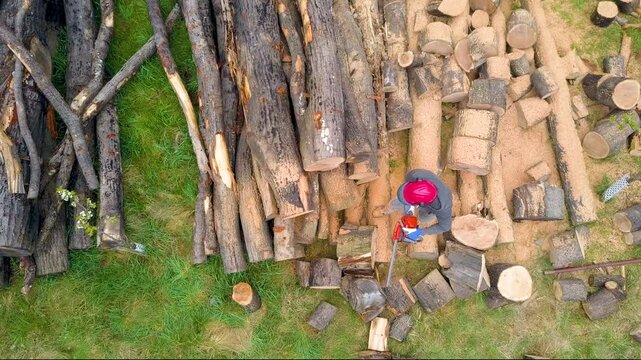Lumberjack with a chainsaw cutting trees in the forest. Preparing firewood for winter. Top down view. Aerial view from drone
