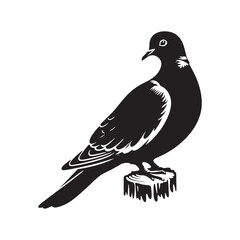 Graceful Eurasian Collared Dove Bird Vector Silhouette – Elegant Flight, Peaceful Perch, and Timeless Symbol of Tranquility in Minimalist Art - Illustration of Collared Dove Bird.