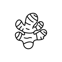 Ginger Root with Segment Lines for Culinary Presentation