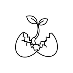 Sprout Growing from Cracked Shell