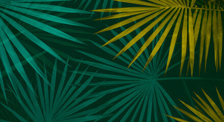 Fototapeta premium Lush Tropical Palm Leaves in Teal and Gold Hues Botanical Background