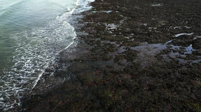 The drone slowly spills along the seabed exposed by the low tide during the soft sunny color off the coast of France against the backdrop of the beauty of the waves.