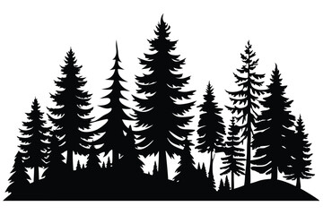 Obraz premium Evergreen fir trees silhouette creates a woodland forest against a plain background
