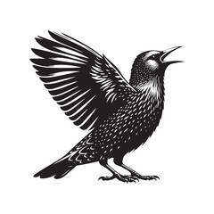 Dynamic European Starling Bird Vector Silhouette – Flock Formation, Iridescent Feathers, and Bold Presence Captured in Striking Minimalist Bird Art.