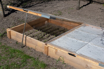 organic farming. Inside the wooden structure, young seedlings.