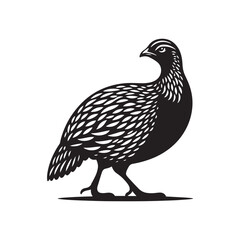 Bold Francolin Bird Vector Silhouette – Striking Ground-Dweller, Sharp Call, and Agile Forager Captured in Elegant Minimalist Wildlife Art.