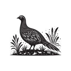 Bold Francolin Bird Vector Silhouette – Striking Ground-Dweller, Sharp Call, and Agile Forager Captured in Elegant Minimalist Wildlife Art.