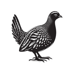Bold Francolin Bird Vector Silhouette – Striking Ground-Dweller, Sharp Call, and Agile Forager Captured in Elegant Minimalist Wildlife Art.