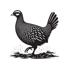 Bold Francolin Bird Vector Silhouette – Striking Ground-Dweller, Sharp Call, and Agile Forager Captured in Elegant Minimalist Wildlife Art.