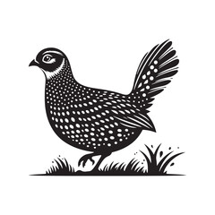 Bold Francolin Bird Vector Silhouette – Striking Ground-Dweller, Sharp Call, and Agile Forager Captured in Elegant Minimalist Wildlife Art.
