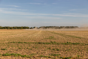 field after corn harvest during arable land, dry sand and dust in windy weather fly over the ground, landscape with forest