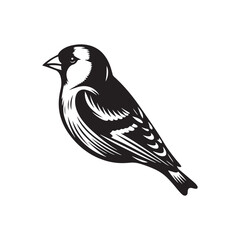 Goldfinch Bird Vector Silhouette, Elegant Bird Illustration, Minimalist Design, Vibrant Yellow Bird Outline, Nature-Inspired Art, Avian Silhouette.