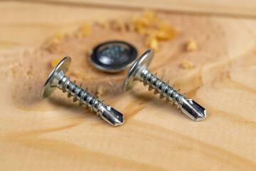 one iron screw screwed into a pine board, close up