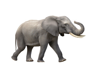 Majestic Elephant Struts Across Dark Canvas Emphasizing Natural Beauty and Strength within Minimalist Contrast