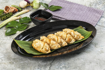 Japanese cuisine - stuffed dumplings gyoza