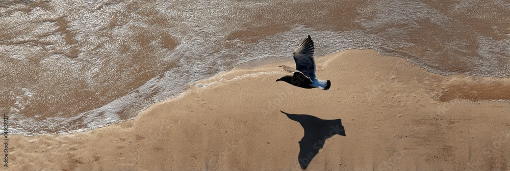 Poster seagull shadow glides over sandy shore during sunny day on calm beach generative ai