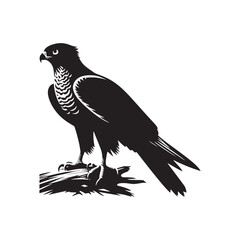 Goshawk Bird Vector Silhouette, Powerful Raptor Design, Predatory Bird Outline, Elegant Hunting Hawk Illustration, Nature-Inspired Avian Art.
