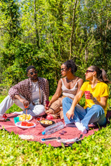 Fototapeta premium Friends enjoying sunny picnic in the park, eating and chatting together