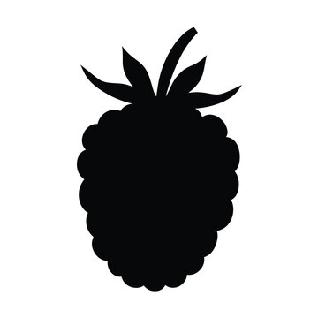 raspberry vector silhouette icon, black and white illustration of fruits.