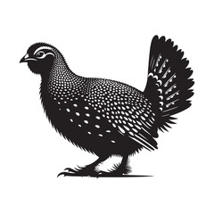 Greater Prairie Chicken Vector Silhouette, Vibrant Grassland Bird Design, Detailed Avian Outline, Nature-Inspired Prairie Fowl Art Illustration.
