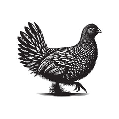 Greater Prairie Chicken Vector Silhouette, Vibrant Grassland Bird Design, Detailed Avian Outline, Nature-Inspired Prairie Fowl Art Illustration.
