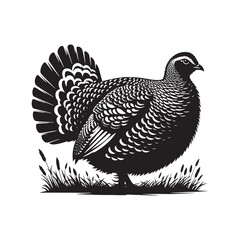Greater Prairie Chicken Vector Silhouette, Vibrant Grassland Bird Design, Detailed Avian Outline, Nature-Inspired Prairie Fowl Art Illustration.