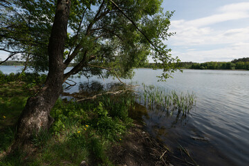 A serene lakeside view with a tree in the foreground under a bright sky.
