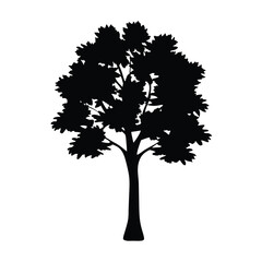 Fototapeta premium sassafras tree vector silhouette icon, black and white illustration of trees.