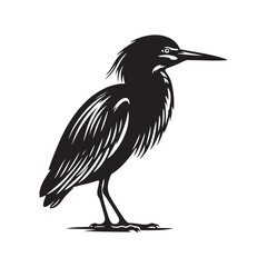 Fototapeta premium Green Heron Vector Silhouette, Elegant Wading Bird Design, Detailed Avian Outline, Nature-Inspired Heron Art, Quiet Water bird Illustration.