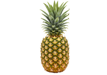 Fresh Pineapple Fruit on Transparent background
