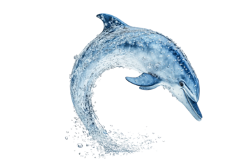 A graceful dolphin leaping through the water, showcasing its agility.