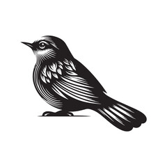 Grey Catbird Vector Silhouette, Sleek Bird Design, Detailed Avian Outline, Nature-Inspired Artwork, Elegant Songbird Illustration, Wild Bird.
