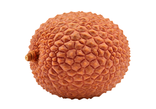 Lychee Fruit Stock Photo Fresh Red Lychee Asian Fruit Tropical Fruit Image on Transparent background