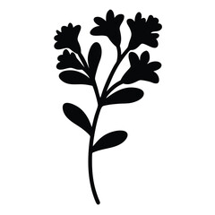 Black and white illustration of sedum , flower silhouette vector designs.