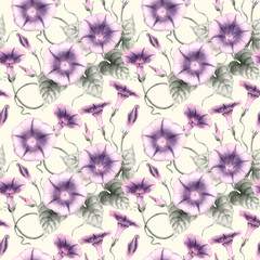 Seamless pattern watercolor Ipomoea morning glory flowers leaves stems hand drawn illustration. Hand painted floral elements. Botanical natural objects on beige background. Fabric, wrapping, print