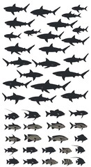 Fototapeta premium Silent Symphony of the Deep