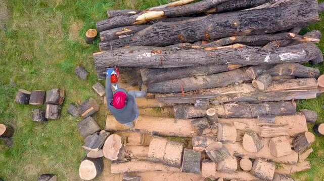 Lumberjack with a chainsaw cutting trees in the forest. Preparing firewood for winter. Top down view. Aerial view from drone
